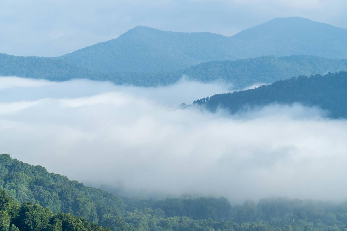 Vacation Rental Management Asheville NC: Your No-BS Guide to Thriving in the Mountains